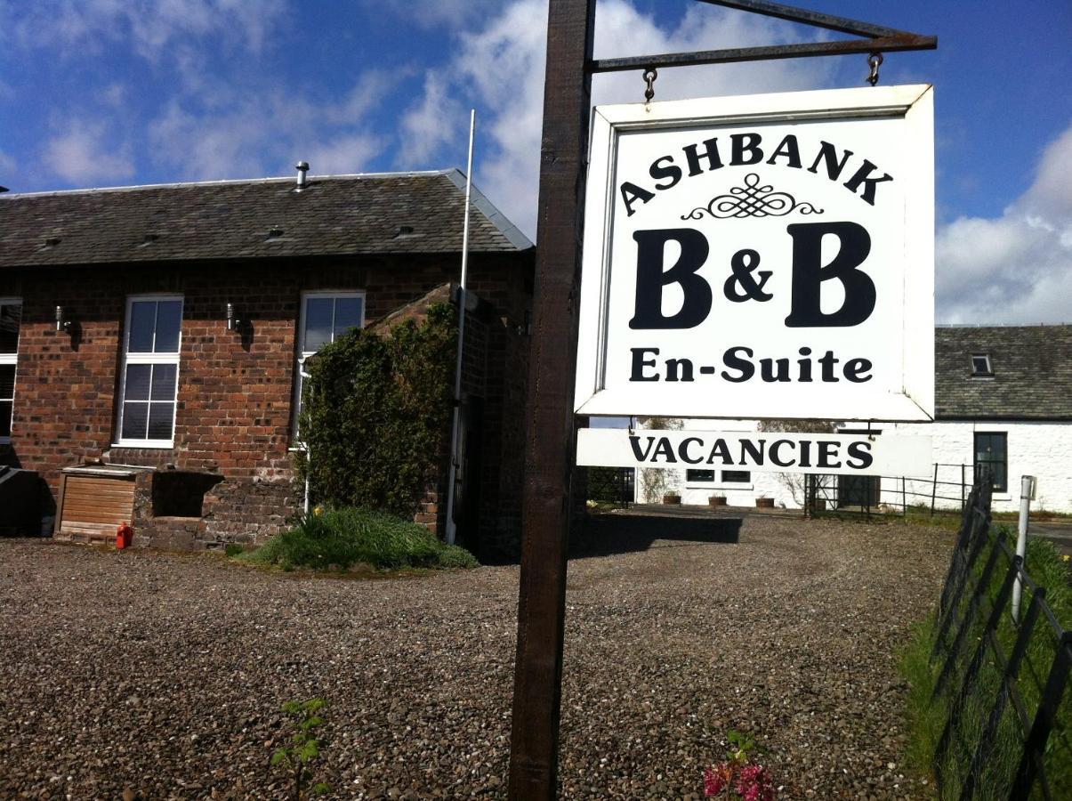 Ashbank Bed & Breakfast ドライメン エクステリア 写真
